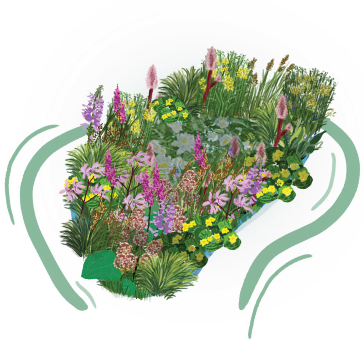Le Jardin des reflets