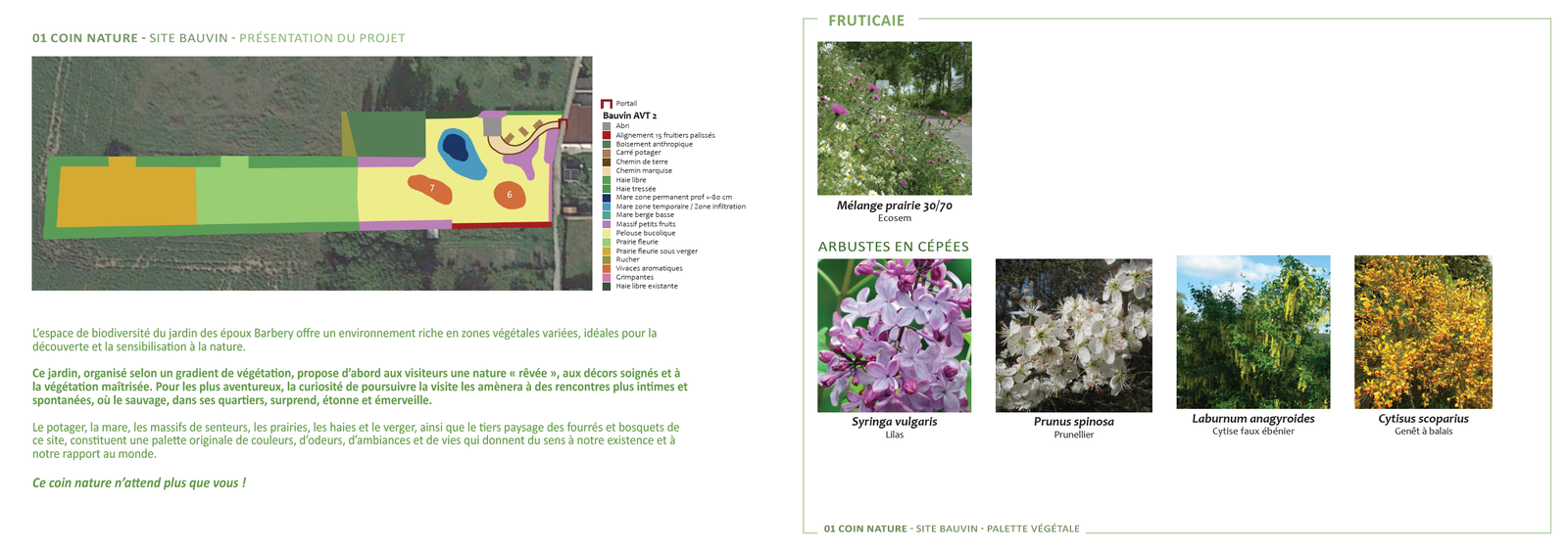 Extrait mise en page dossier final — 1