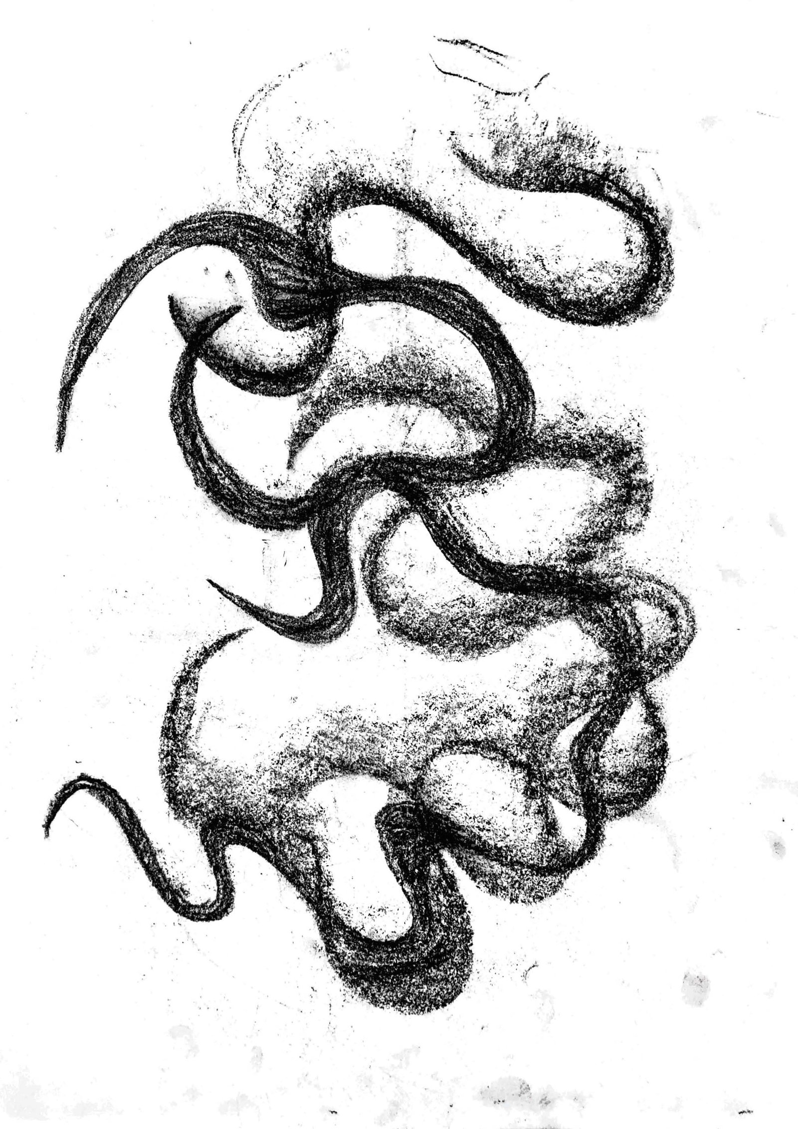 Croquis exploratoire (fusain)