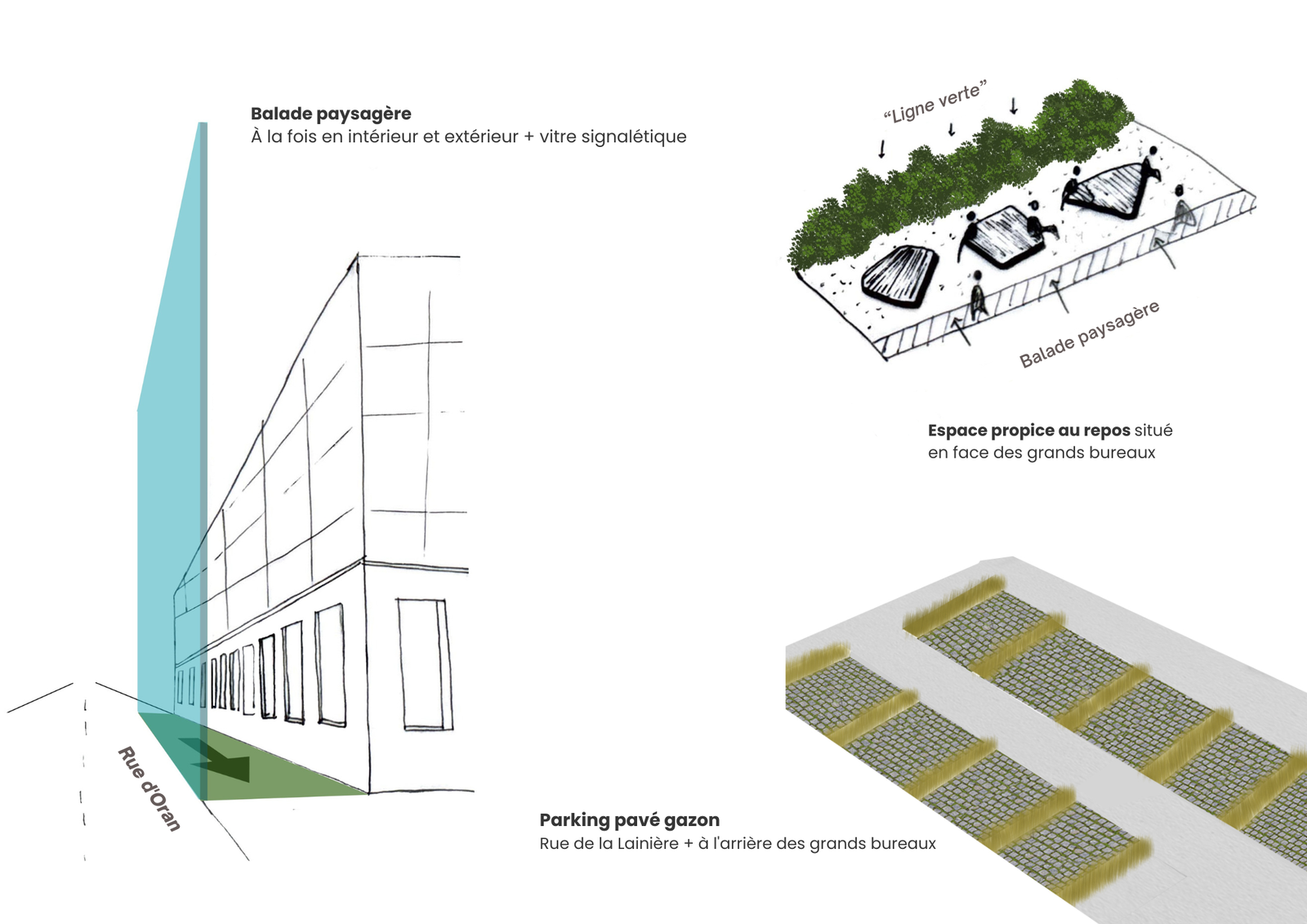 Croquis — Détails de la programmation urbaine